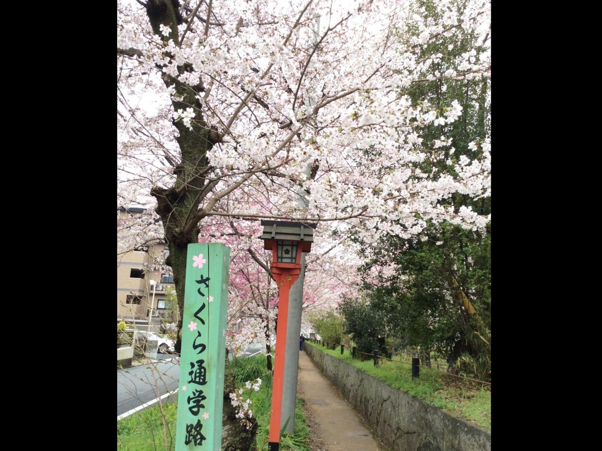 京之宿华西之阵 京都 外观 照片